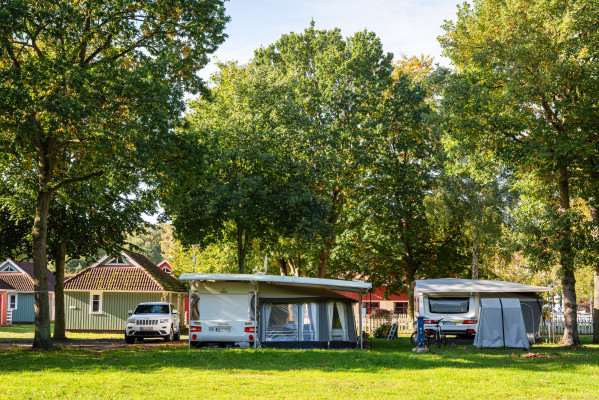 Wohnwagen geparkt unter Bäumen auf dem Campingplatz Baltic Freizeit in Markgrafenheide.