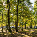 Stellplätze unter Bäumen auf dem Campingplatz Baltic Freizeit in Markgrafenheide.