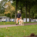 Camper geht mit seinem Hund durch den Campingplatz von Baltic Freizeit umgeben von Bäumen und Wohnwagen.